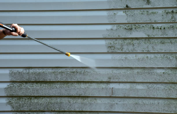 Best Driveway Pressure Washing  in Jourdanton, TX